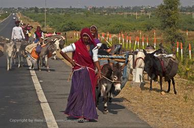 02 PKW-Reise_Jodhpur-Mount_Abu_DSC3997_b_H600